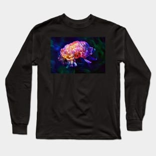 Aster Long Sleeve T-Shirt